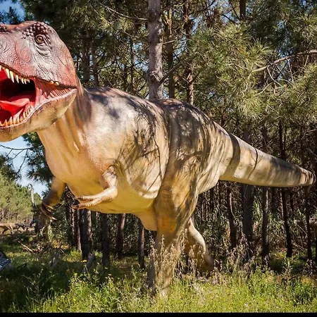 Apartament By The Da Areia Branca Lourinhã